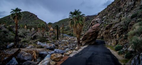 Big Rock Above Road To Visitor Center in Indian Canyon, Palm Springs, CA