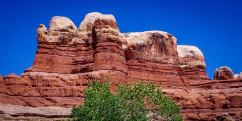 Giant Rocks In Salt Creek Canyon Along Trail Towards Angel Arch, Needles, Canyonlands National Park, UT