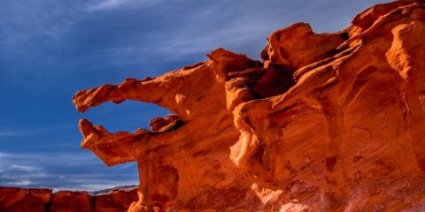 Jaws In Little Finland, NV