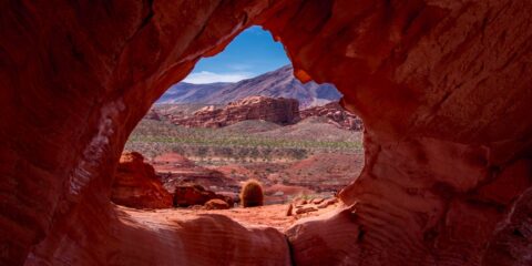 Look Through The Window In Little Finland, NV
