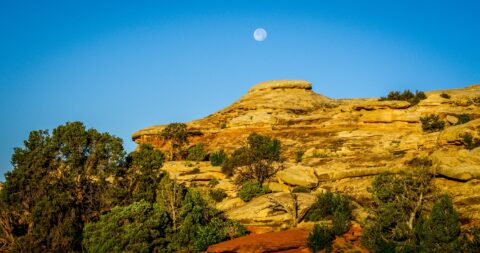On Full Moon Day I Decided To Hike To Angel Arch, Needles, Canyonlands National Park, UT