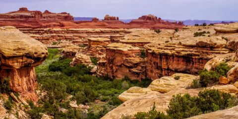 On Squaw Flat Trail In Needles, Canyonlands National Park, UT