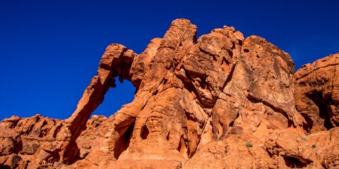 Elephant Rock In Valley Of Fire State Park, NV