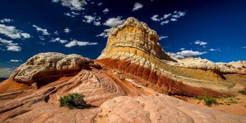 Afternoon Look At Butterfly rock formation at White Pocket, AZ