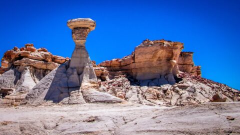 Big Toadstool Near Trailhead In Valley Of Dreams, NM