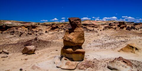 Chocolate Penguin King In Valley Of Dreams, NM