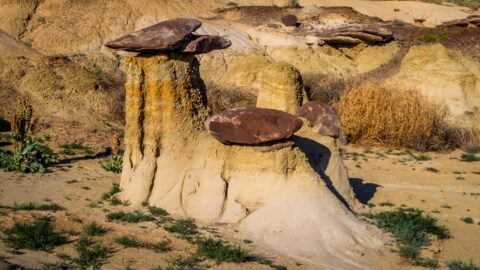 Close Look At Chocolate Mushroom Hoodoo In Ah-Shi-Sle-Pah Wilderness Study Area, NM