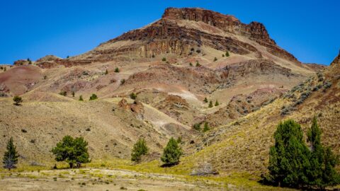 Colorful Hill with Volcanic Rock Crest on the Trail to Painted Hills, John Day Fossil Beds National Monument, OR