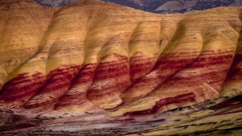 Detail From The Painted Hills, John Day Fossil Bed National Monument, OR