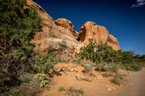 Elephant Rock Along Devils Garden Trail, Arches National Park, UT