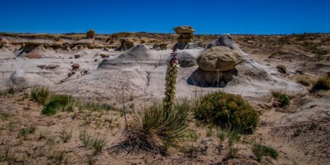 First Stop In Valley Of Dreams, NM