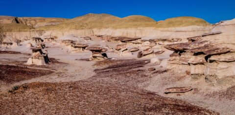 Garden Of Hoodoos In Ah-Shi-Sle-Pah Wilderness Study Area, NM