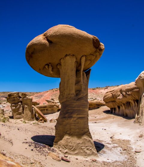 Giant Mushroom at Distant End of Valley Of Dreams, NM