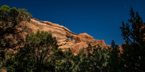 High Above Tree Line Partition Arch In Devils Garden, Arches National Park, UT