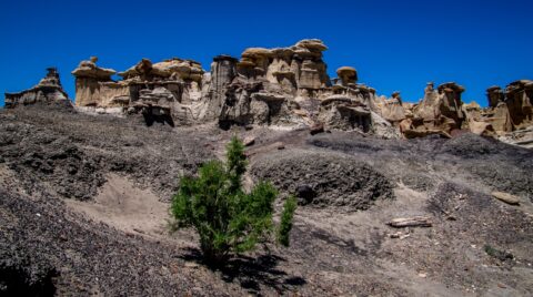 Hiking Around Toadstools at Distant End of Valley Of Dreams, NM