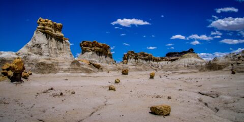 In Rock Garden At Far End Of Valley Of Dreams, NM