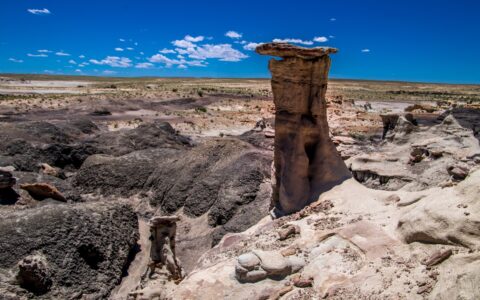 Like Guard Of Badlands At Far End In Valley Of Dreams, NM