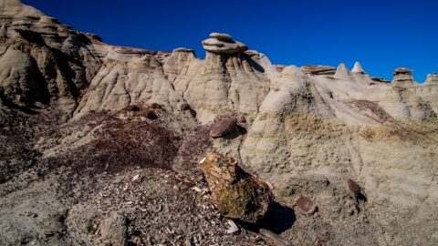 Petrified Stump In Ah-Shi-Sle-Pah Wilderness Study Area, NM