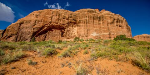 Primitive Trail At Pine Arch, Arches National Park, UT