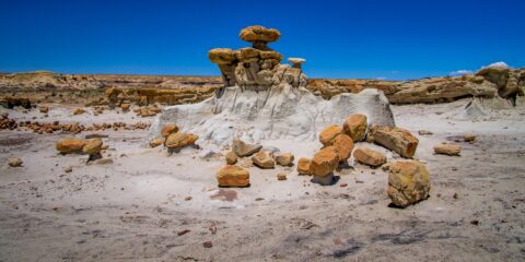Toadstools In Rock Garden At Far End Of Valley Of Dreams, NM