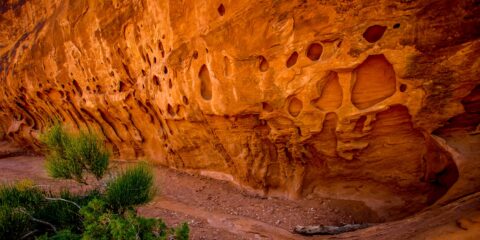 Rock Wall Full Of Holes In Devils Garden, Arches National Park, UT