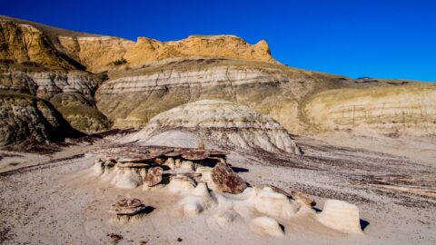 Small Chocolate Hoodoos and Yellow Cliff In Ah-Shi-Sle-Pah Wilderness Study Area, NM