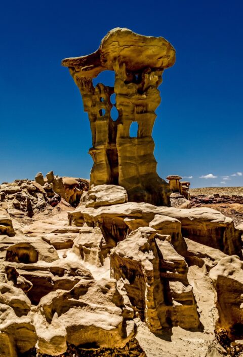 Spectacular Alien Throne In Valley Of Dreams, NM