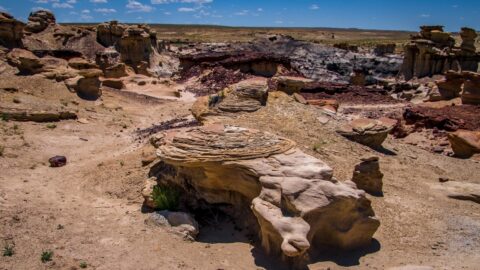 Strange Shaped Rock At Far End Of Valley Of Dreams, NM