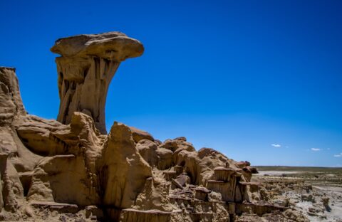 Toadstool at Distant End of Valley Of Dreams, NM