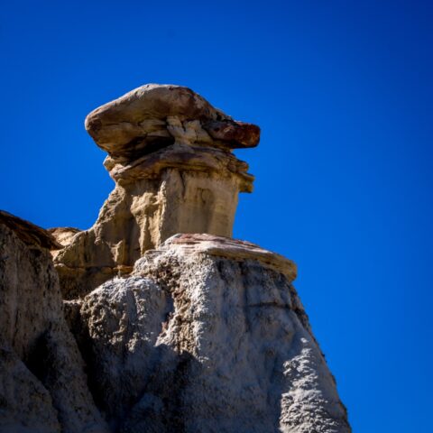 Turtle Hoodoo In Ah-Shi-Sle-Pah Wilderness Study Area, NM