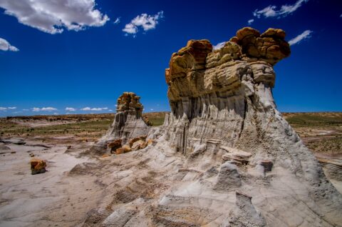 Wall Of White Toadstools At Far End Of Valley Of Dreams, NM