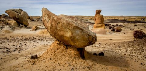 Another Flintstones Satellite Dish Near Chocolate Penguin King In Valley Of Dreams, NM
