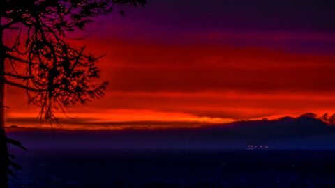 Burning Sunset In Olympic National Park, WA