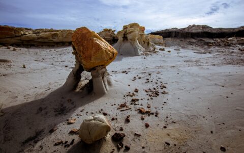 Close Look At Hoodoo With Two Legs In Valley Of Dreams, NM