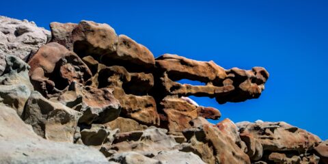 Detail Of Rock Crocodile Head In Fantasy Canyon, Vernal, UT