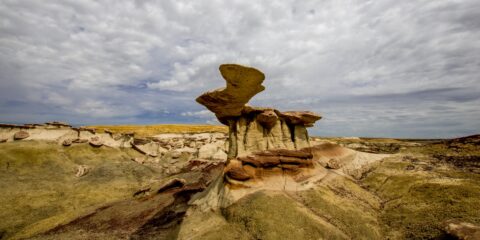 Facing King Of The Wings (Momo’s Wing), NM