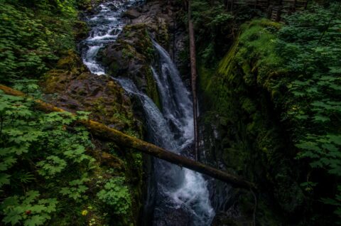 First Look At Sol Duc Falls In Olympic National Park, WA