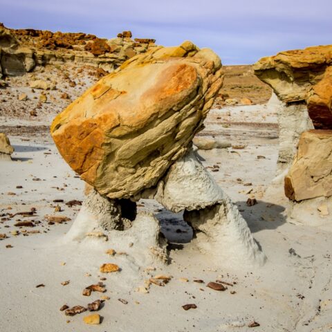 Hoodoo With Two Legs In Valley Of Dreams, NM