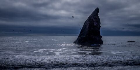 Like Giant Shark Dorsal Fin, Sea Stack On Ruby Beach In Olympic National Park, WA