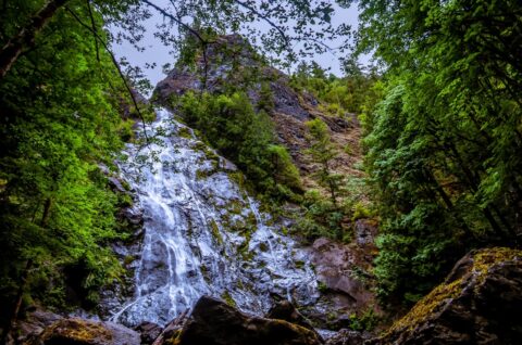 Look From Trail At Rocky Brook Falls Outside Of Olympic National Park, WA