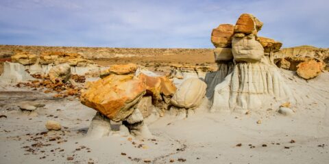 Low Above Ground Hoodoo With Two Legs In Valley Of Dreams, NM
