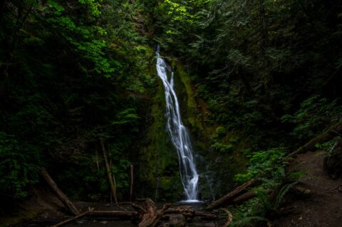 Madison Creek Falls In Olympic National Park, WA