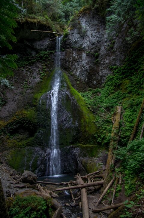 Marymere Falls In Olympic National Park, WA