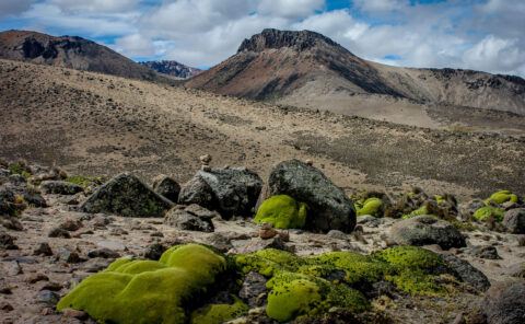 Mirador Los Andes, Peru