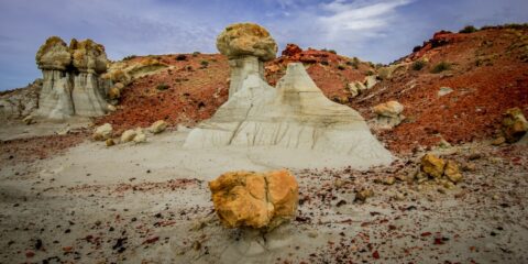 Mushroom Hoodoos At The Beginning Of The Loop In Valley Of Dreams, NM