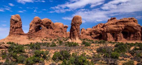 Parade Of Elephants In Arches National Park, Moab, UT