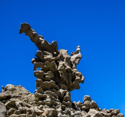 Pointing Fin In Fantasy Canyon, Vernal, UT