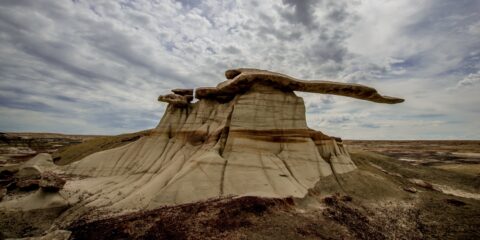 Profile Of King Of The Wings (Momo’s Wing), NM