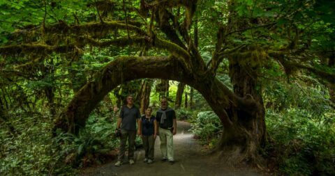 Ranko, Ognjenka & Mic’a In Hall of Mosses In Olympic National Park, WA