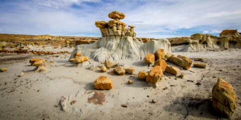 Again In Rock Garden & Toadstools In Valley Of Dreams, NM